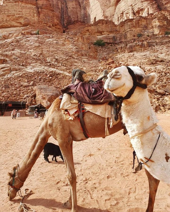 Bedouin Memories Camp Bed & Breakfast Вади Рум Екстериор снимка